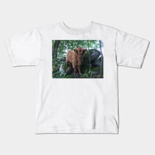 Scottish Highland Cattle Calf 1507 Kids T-Shirt